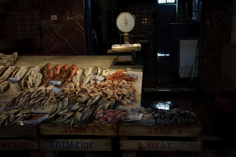 fish market_ Hania2010d21c024.jpg